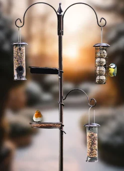 5 in 1 Vogelfutterstation