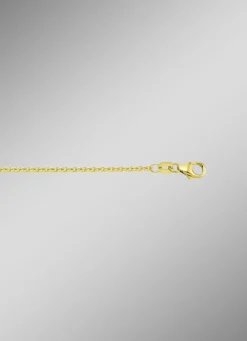 Ankerkette aus Gold