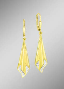 Attraktive Ohrringe in Bicolor