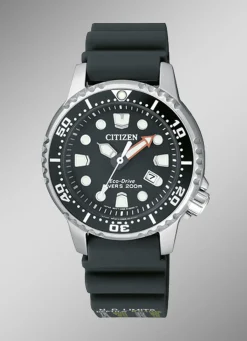 Citizen-Solar-Damenuhr