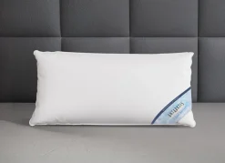 Daunenprogramm Antarktis von Spessarttraum