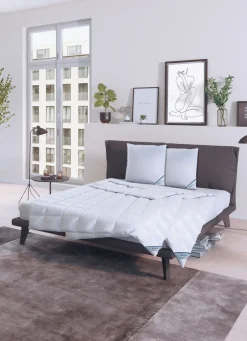 Daunenprogramm Antarktis von Spessarttraum