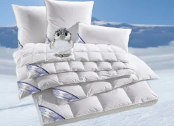 Daunenprogramm Antarktis von Spessarttraum