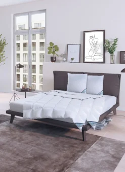 Daunenprogramm Antarktis von Spessarttraum