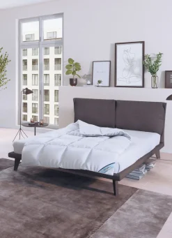 Daunenprogramm Antarktis von Spessarttraum