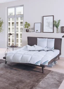 Daunenprogramm Antarktis von Spessarttraum