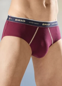 Dreierpack Slips mit Elastikbund