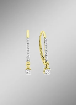 Edle Ohrringe mit 2 Brillanten und 18 Diamanten