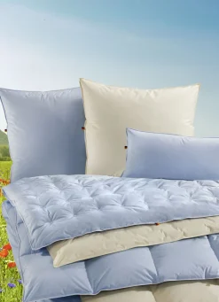 Erstklassige Daunenkissen-Sonderserie aus dem Schwarzwald