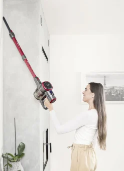 eta FÉNIX 2-in-1 Akku-Handstaubsauger