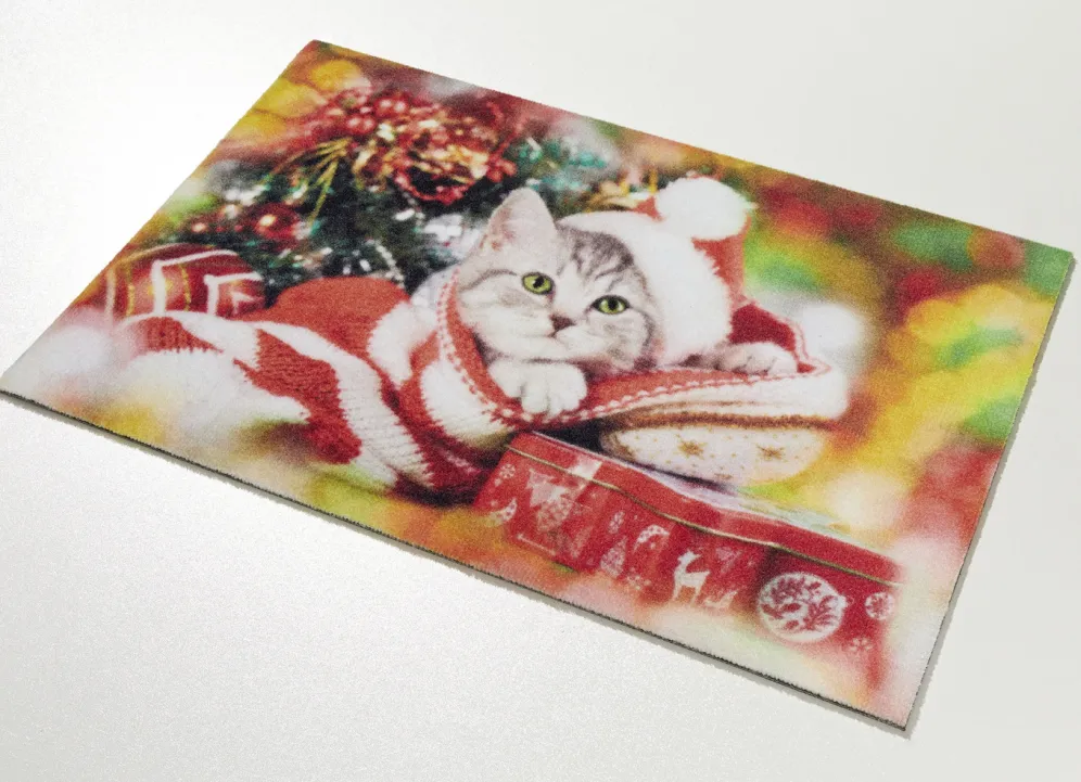 Fußmatte Kätzchen mit rutschfester Rückseite