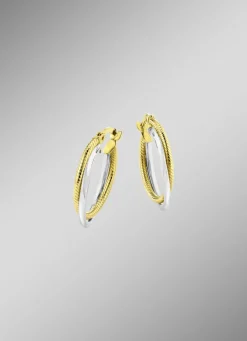 Glänzende Creolen in Bicolor, 2-reihig