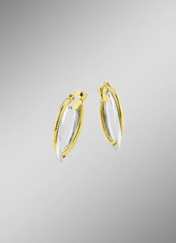 Glänzende Creolen in Bicolor, 2-reihig