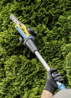 Gloria Finecut Verlängerung