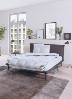 Herrlich warme Daunendecken-Serie Winterträume von Spessarttraum