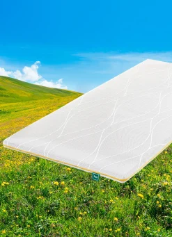 Hypersoftschaum-Topper von fan