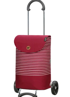 Leichter und robuster Einkaufsroller von Andersen