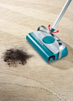 Leifheit Regulus Supra Alleskehrer