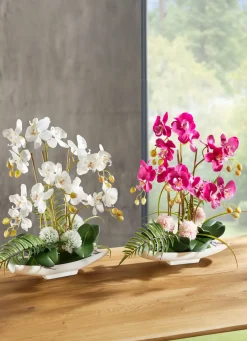 Orchideen-Arrangement in Schale