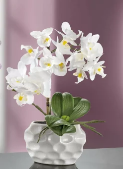 Orchideen-Gesteck in Keramikvase