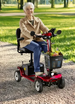 4-Rad-Roller von Rolektro