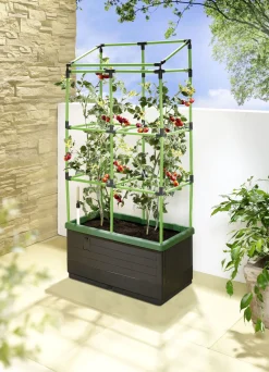 Rankkasten City Jungle