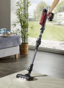 Rowenta RH2078 Akku-Handstaubsauger