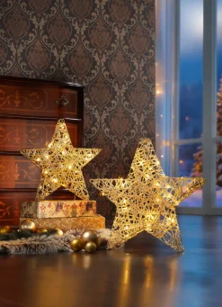 Stern mit Lichterketten-Geflecht