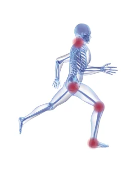 Thermofleece- Einlage, 2 Paar