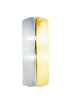 Tolle Klappcreolen in Bicolor, Hochglanz/satiniert