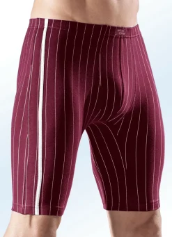 Viererpack Longpants, gestreift