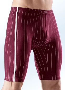 Viererpack Longpants, gestreift