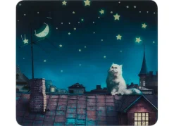 Wandblende aus Glas, Motiv Moon Cat