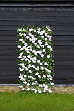 Wandgitter aus Blätter und Blüten