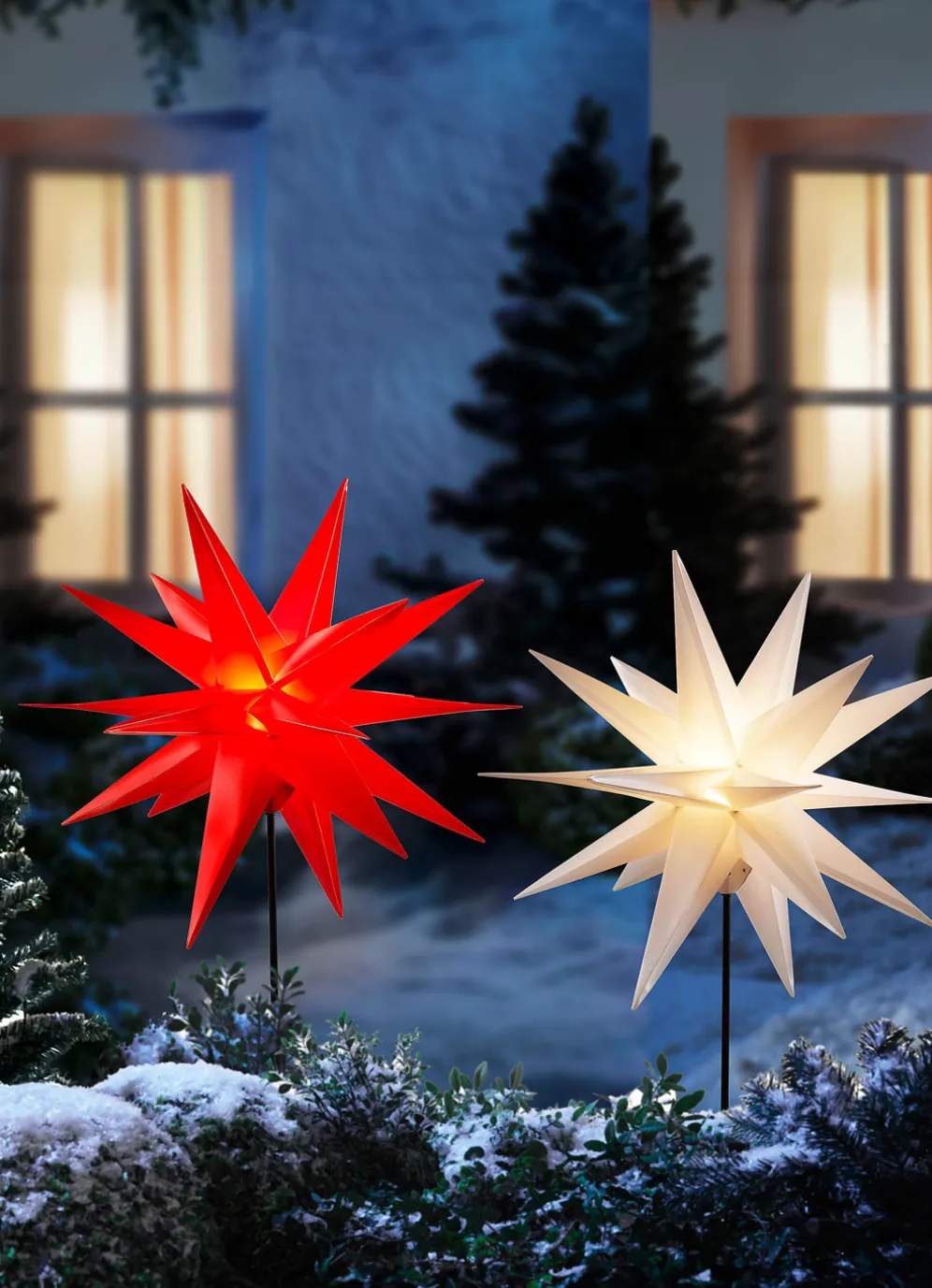 Weihnachtsstern mit Erdspieß