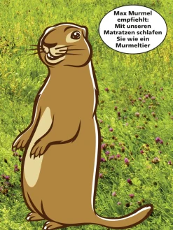 7-Zonen-Bonnellfederkern-Matratze von f.a.n.